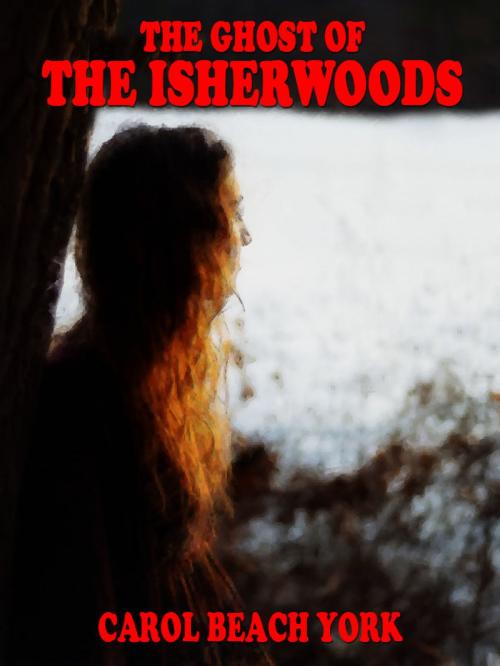 Cover of the book The Ghost of the Isherwoods by Carol Beach York, Wildside Press LLC