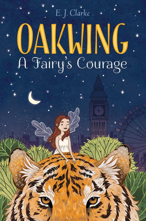 Cover of the book A Fairy's Courage by E. J. Clarke, Aladdin