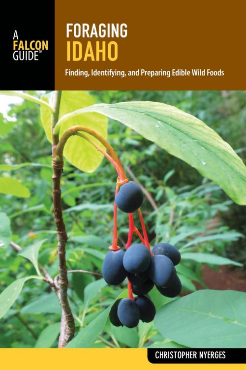 Cover of the book Foraging Idaho by Christopher Nyerges, Falcon Guides