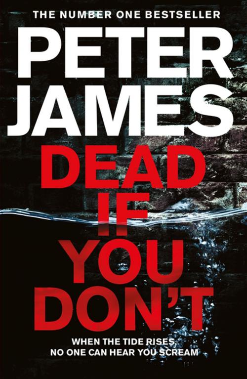 Cover of the book Dead If You Don't by Peter James, Pan Macmillan