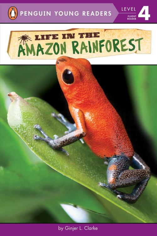 Cover of the book Life in the Amazon Rainforest by Ginjer L. Clarke, Penguin Young Readers Group