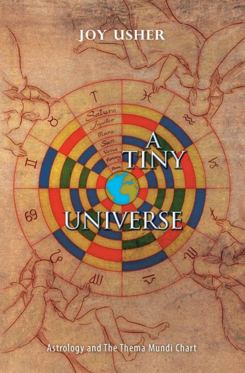 Cover of the book A Tiny Universe by Joy Usher, Xlibris AU