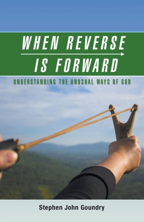 Cover of the book When Reverse Is Forward by Stephen John Goundry, AuthorHouse