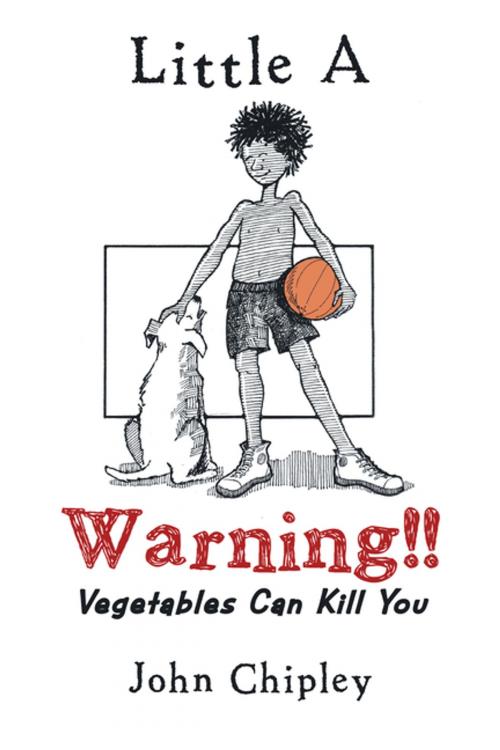 Cover of the book Warning!! by John Chipley, AuthorHouse