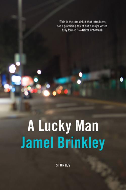 Cover of the book A Lucky Man by Jamel Brinkley, Graywolf Press