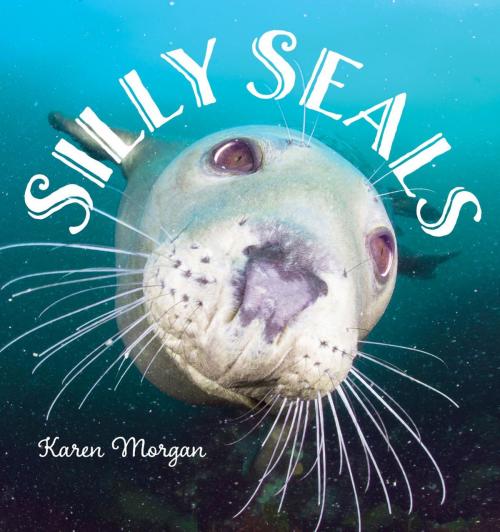 Cover of the book Silly Seals by Karen Morgan, Down East Books