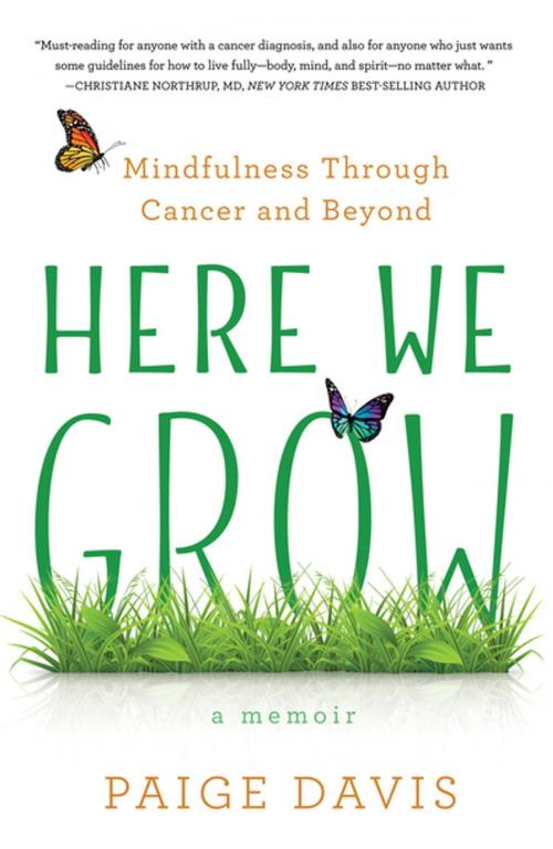 Cover of the book Here We Grow by Paige Davis, She Writes Press