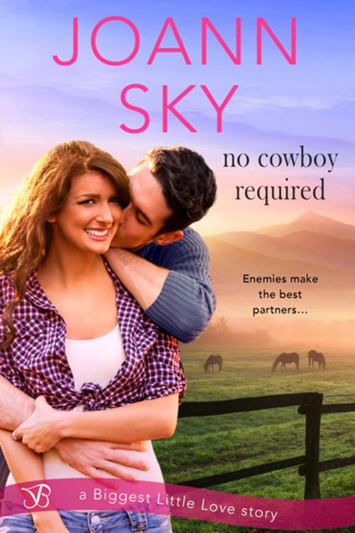 Cover of the book No Cowboy Required by JoAnn Sky, Entangled Publishing, LLC