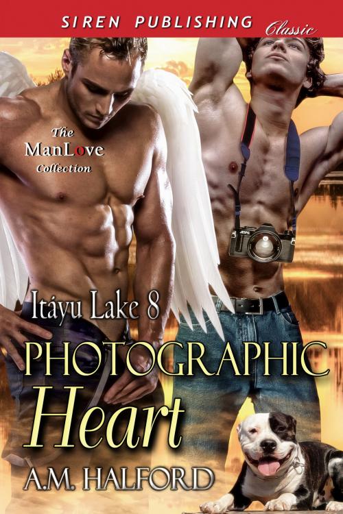 Cover of the book Photographic Heart by A.M. Halford, Siren-BookStrand