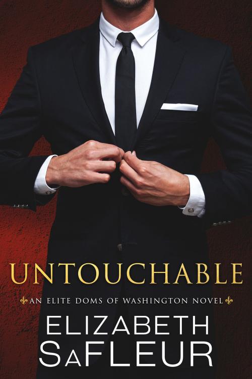 Cover of the book Untouchable by Elizabeth SaFleur, Elizabeth SaFleur LLC