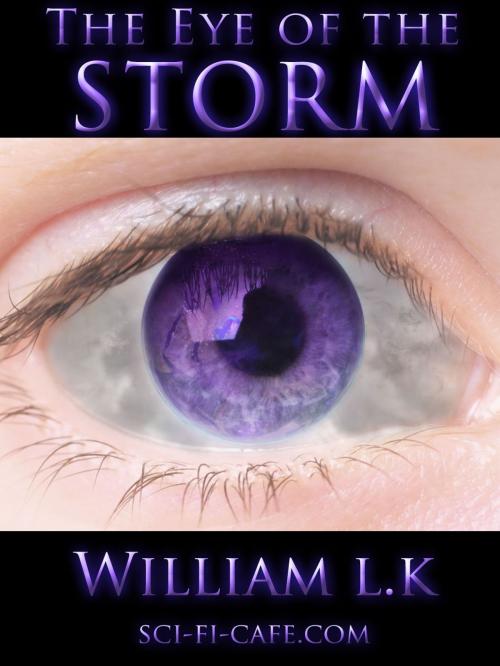 Cover of the book The Eye of the Storm by William Kroupa, Oxford eBooks