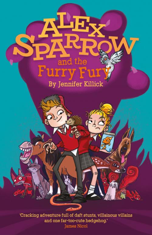 Cover of the book Alex Sparrow and the Furry Fury by Jennifer Killick, Firefly Press Limited