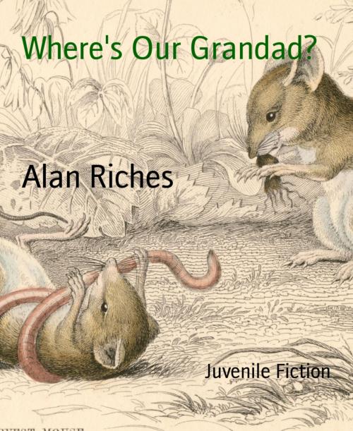 Cover of the book Where's Our Grandad? by Alan Riches, BookRix