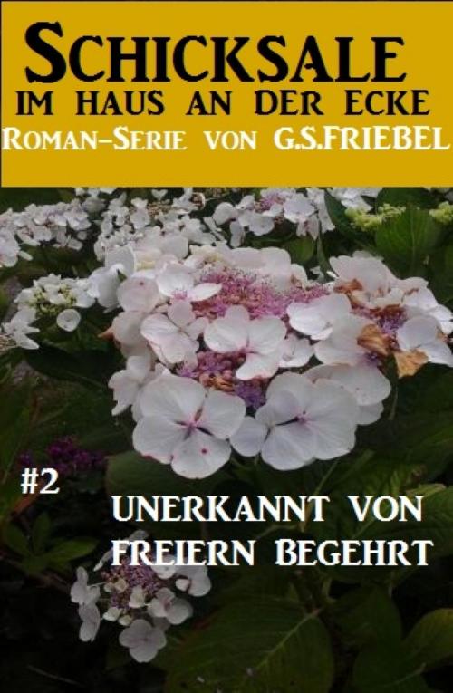 Cover of the book Schicksale im Haus an der Ecke #2: Unerkannt von Freiern begehrt by G. S. Friebel, BookRix