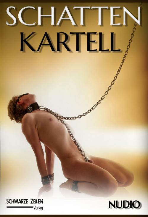 Cover of the book Schatten-Kartell by Nudio, Schwarze-Zeilen Verlag