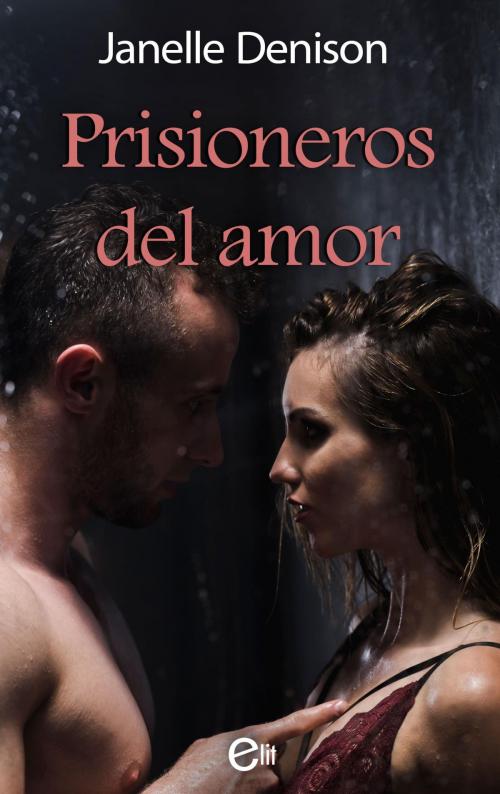 Cover of the book Prisioneros del amor by Janelle Denison, Harlequin, una división de HarperCollins Ibérica, S.A.