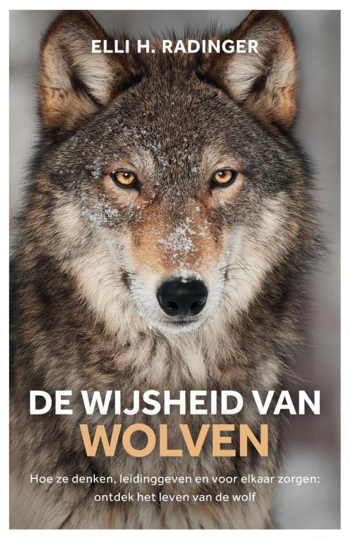 Cover of the book De wijsheid van wolven by Elli Radinger, Bruna Uitgevers B.V., A.W.
