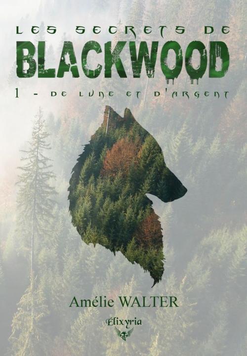 Cover of the book Les secrets de Blackwood by Amélie Walter, Editions Elixyria