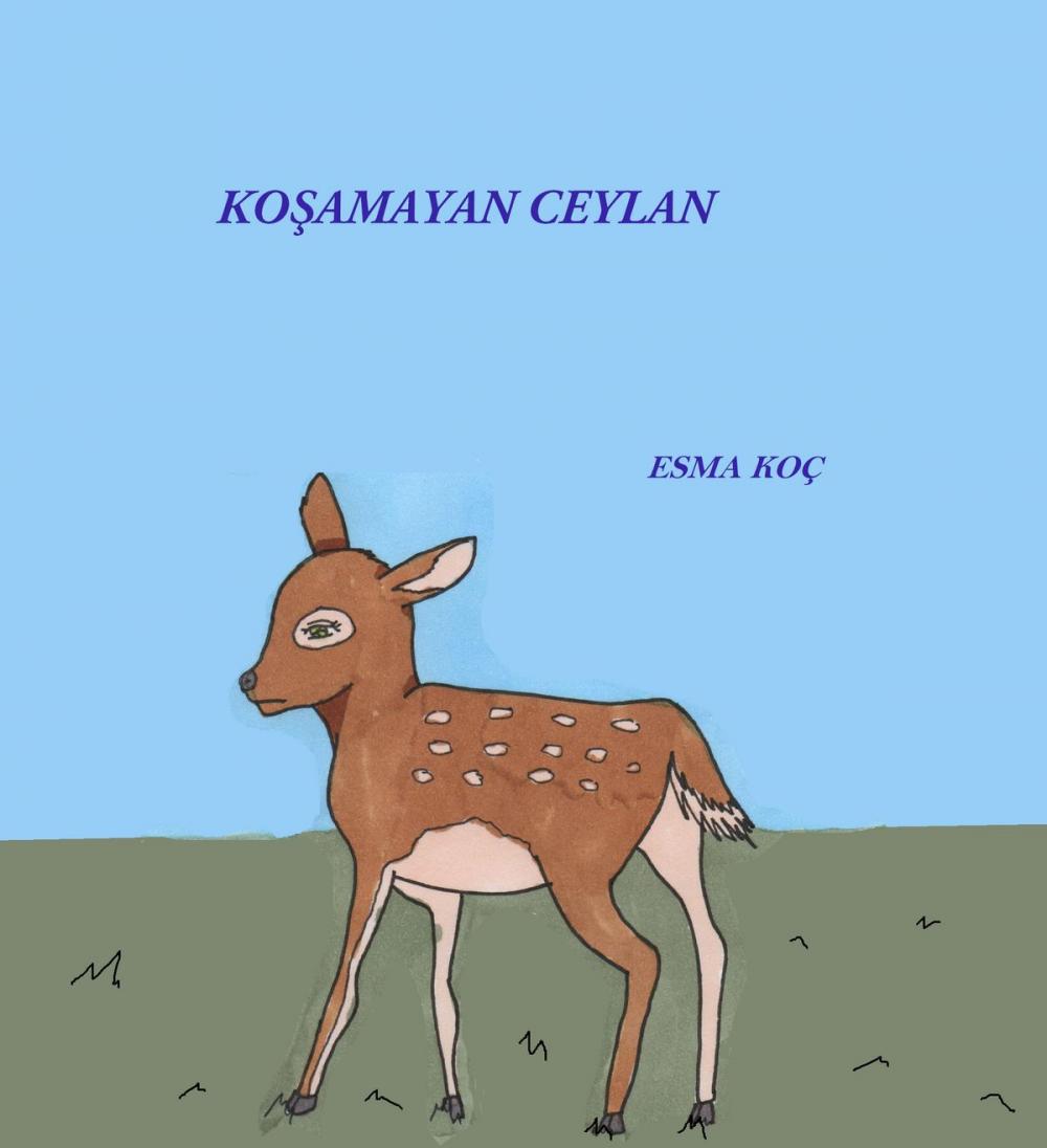 Big bigCover of Koşamayan Ceylan