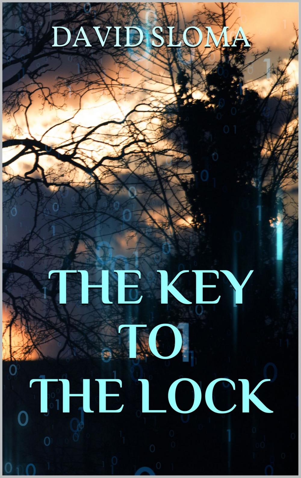 Big bigCover of The Key to the Lock