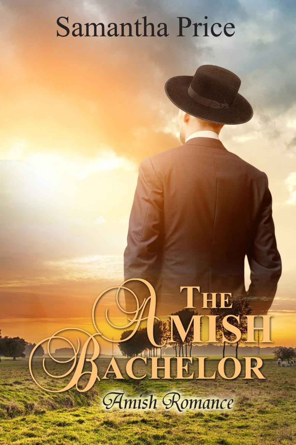 Big bigCover of The Amish Bachelor