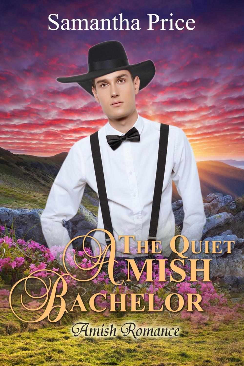 Big bigCover of The Quiet Amish Bachelor