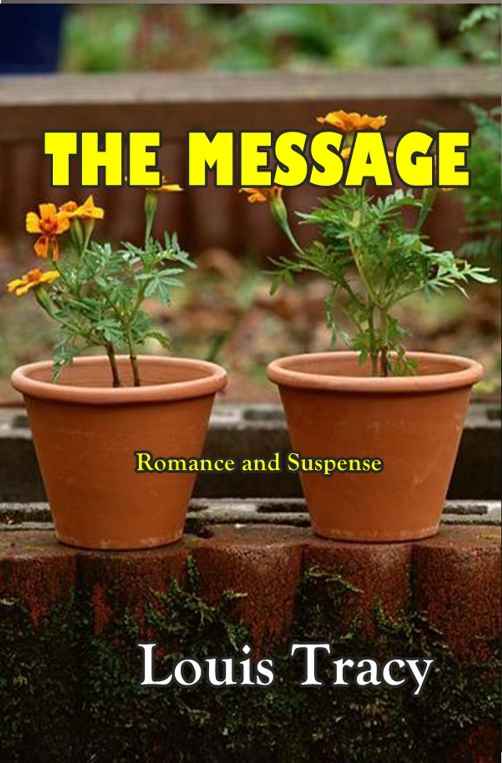 Big bigCover of The Message