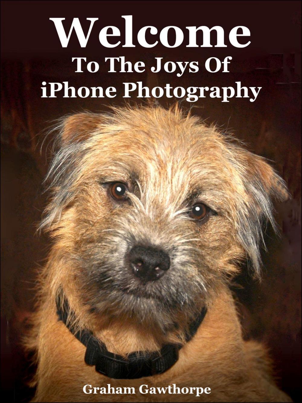 Big bigCover of Welcome To The Joys Of iPhone Photography