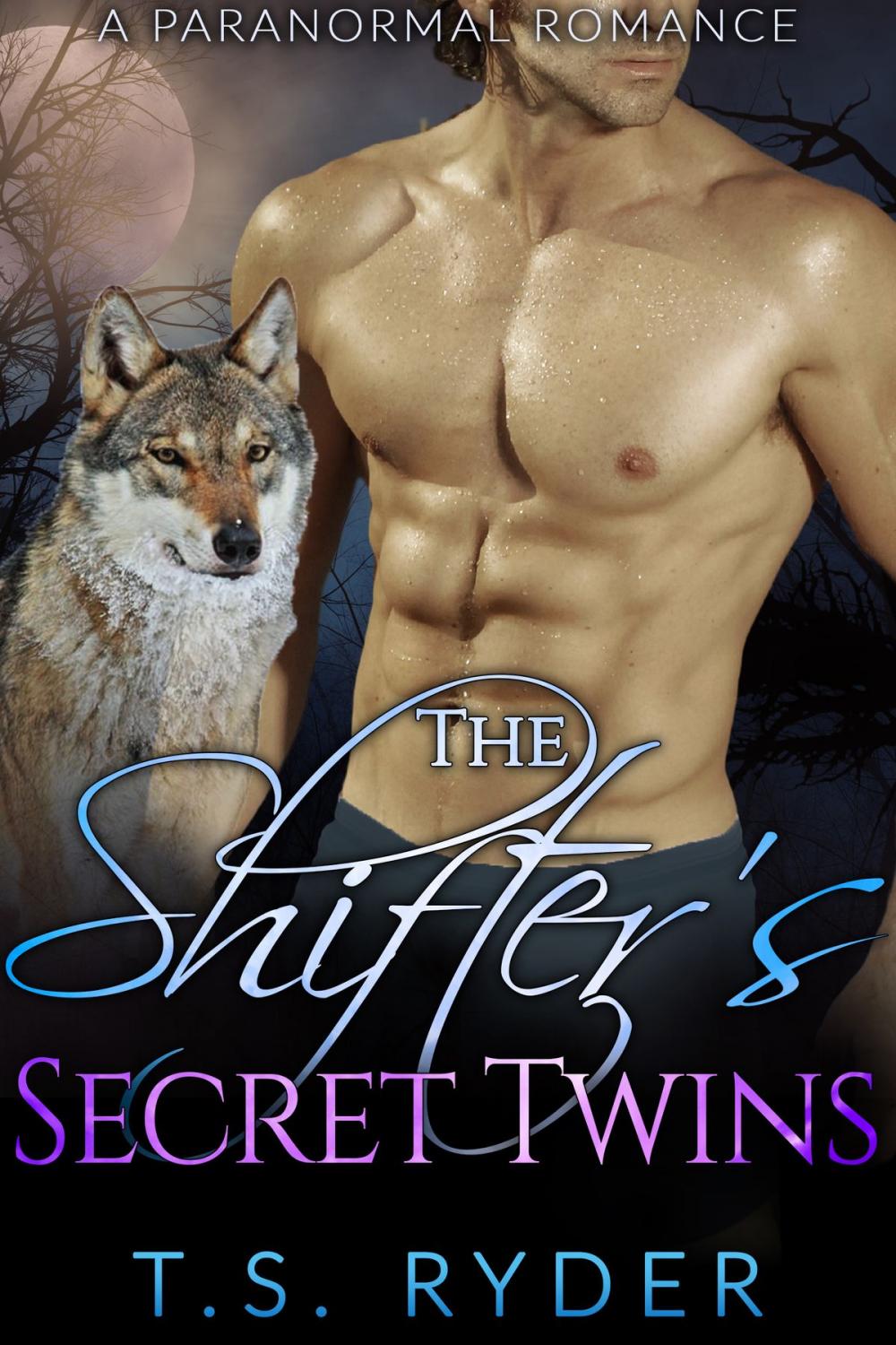 Big bigCover of The Shifter’s Secret Twins