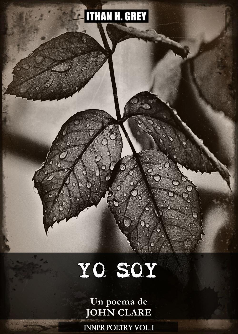 Big bigCover of Yo Soy