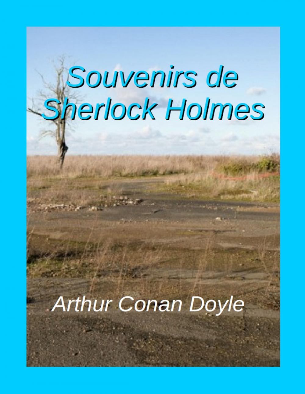 Big bigCover of Souvenirs de Sherlock Holmes