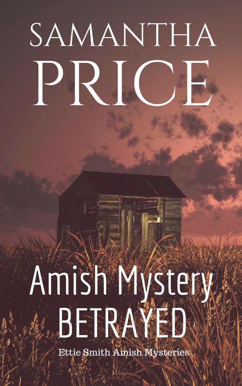 Big bigCover of Amish Mystery: Betrayed