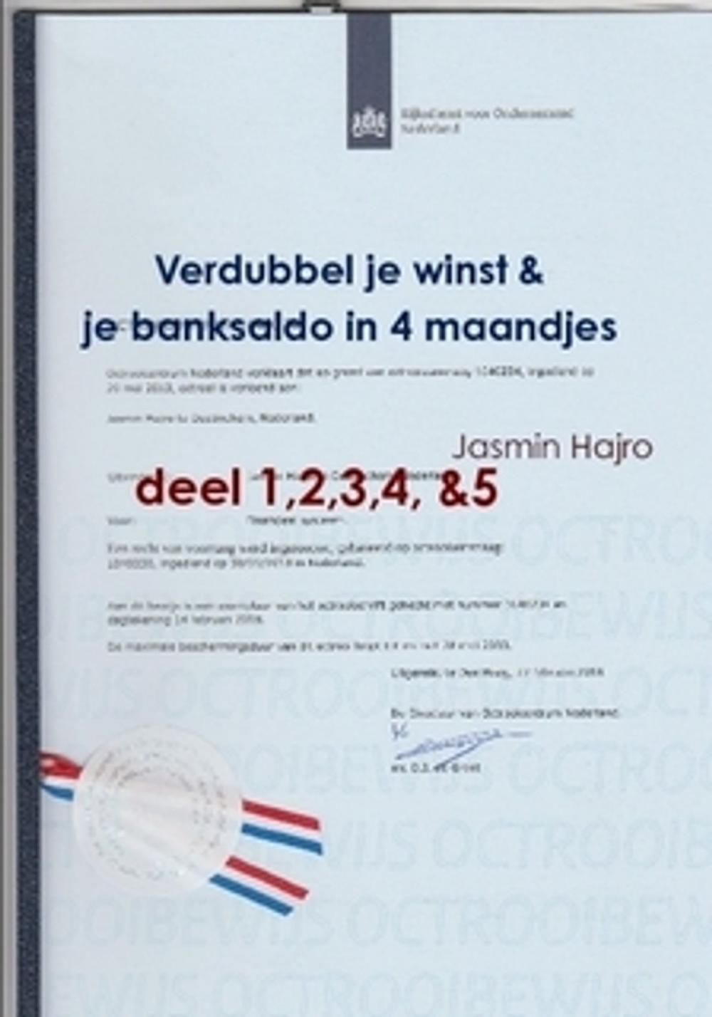 Big bigCover of Verdubbel je winst & je banksaldo, in 4 maandjes