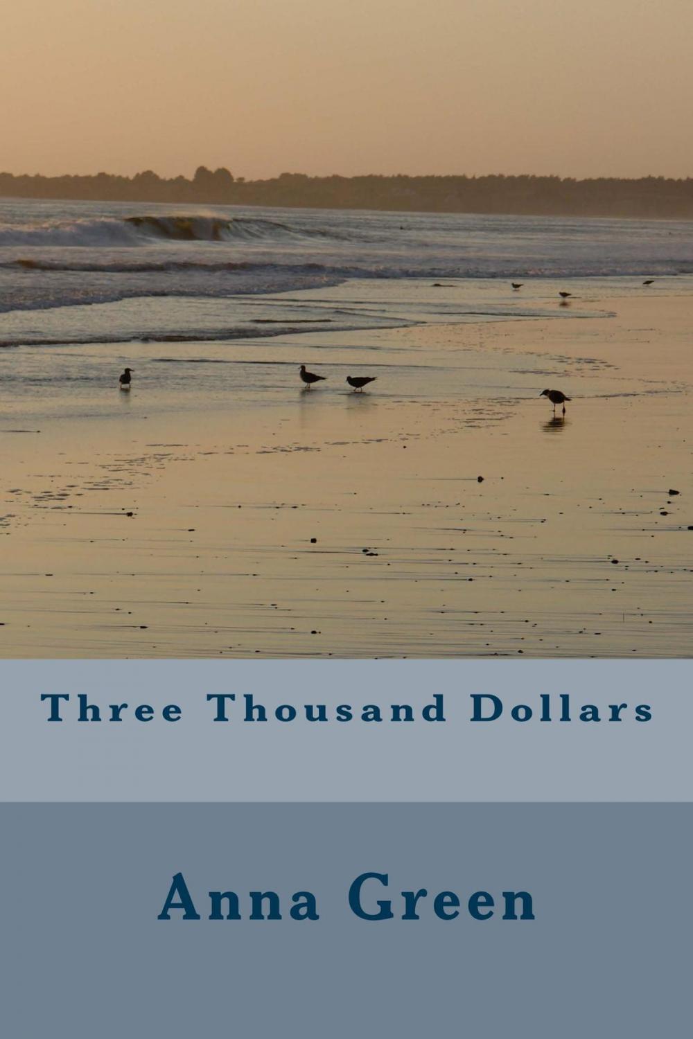 Big bigCover of Three Thousand Dollars