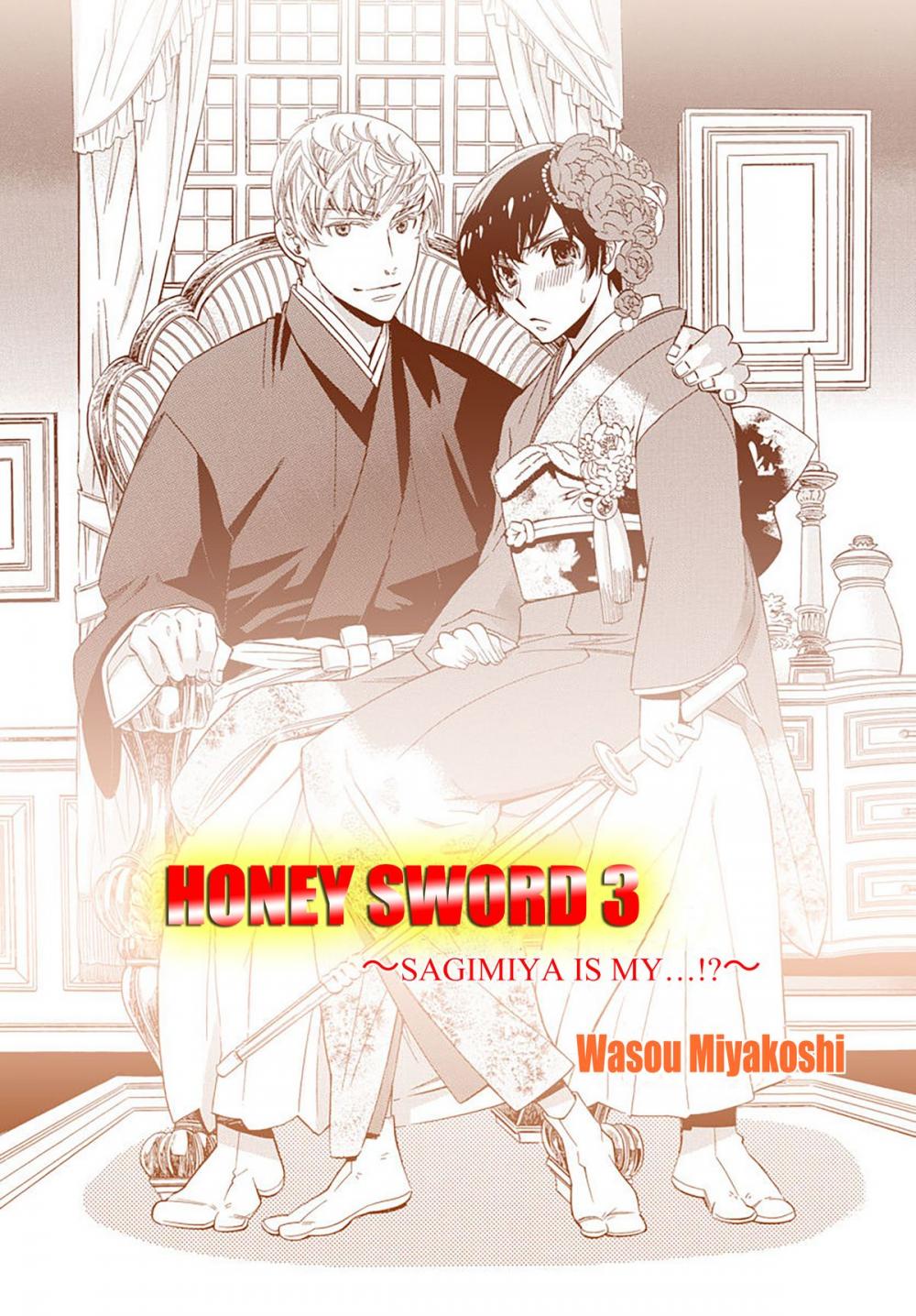 Big bigCover of Honey Sword (Yaoi Manga)