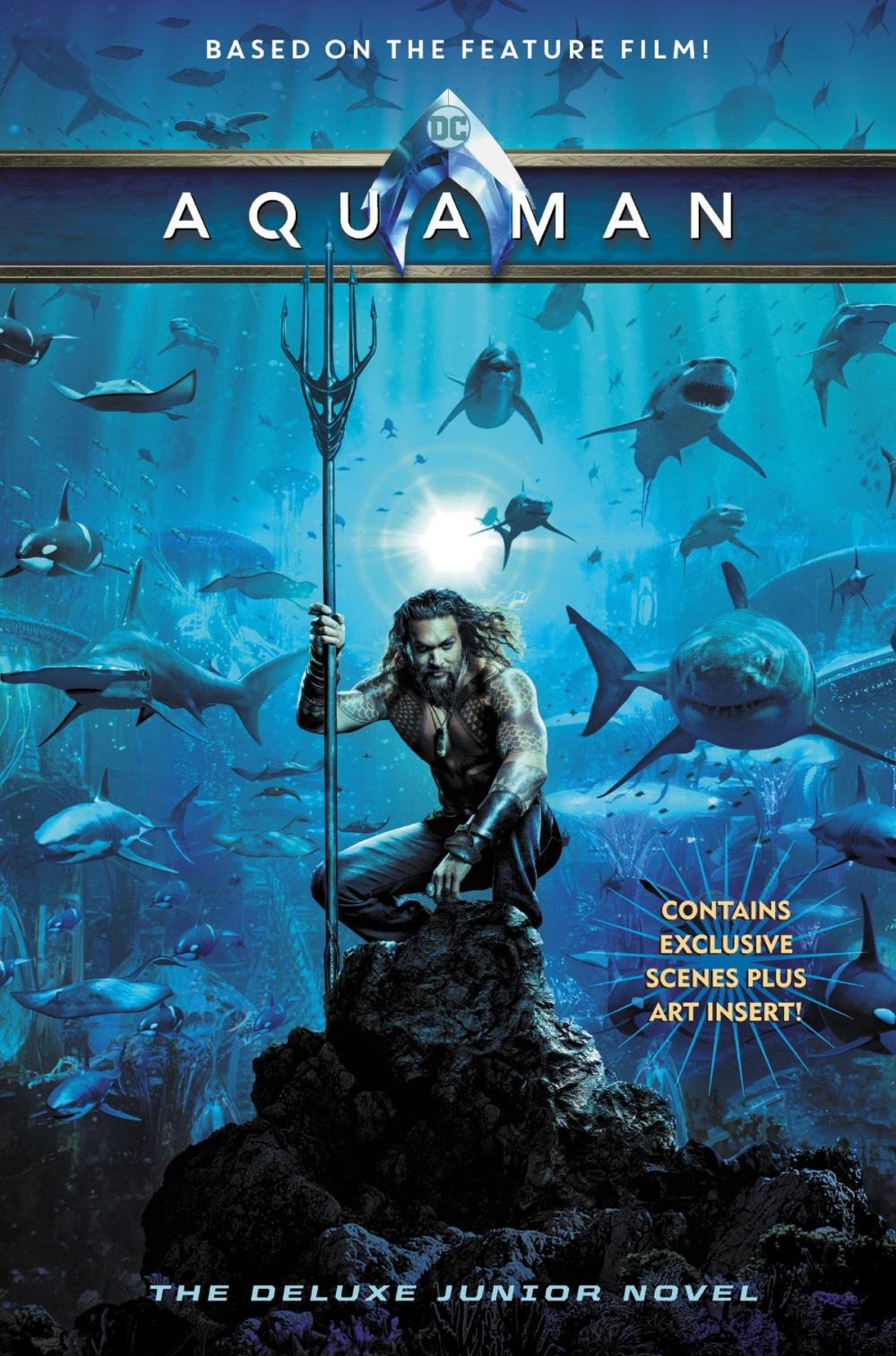 Big bigCover of Aquaman: The Junior Novel