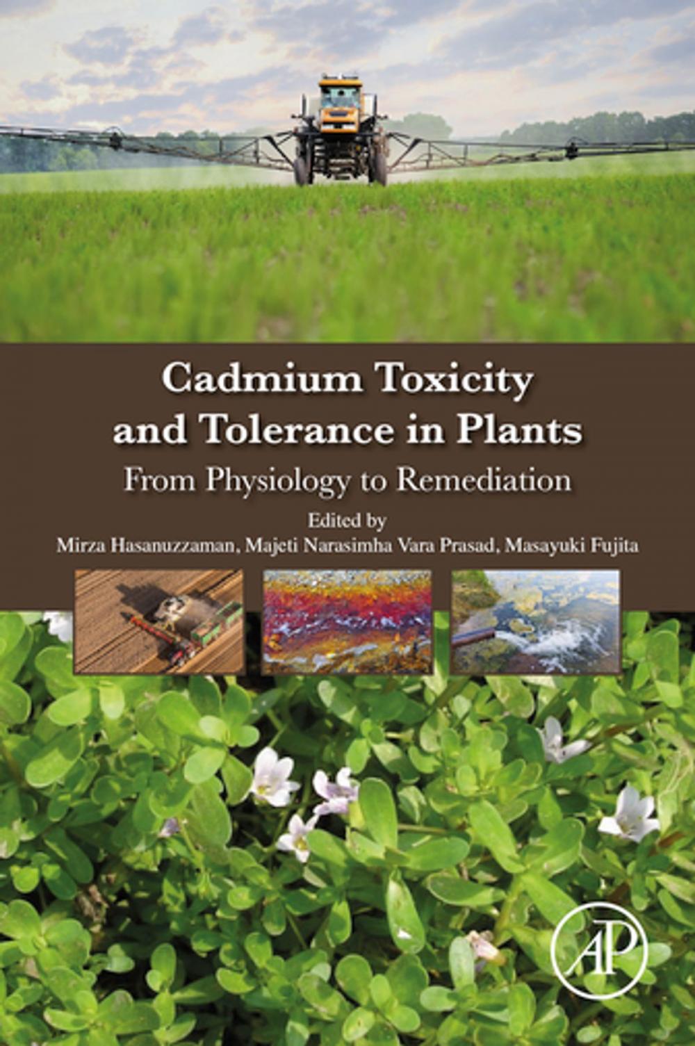 Big bigCover of Cadmium Toxicity and Tolerance in Plants