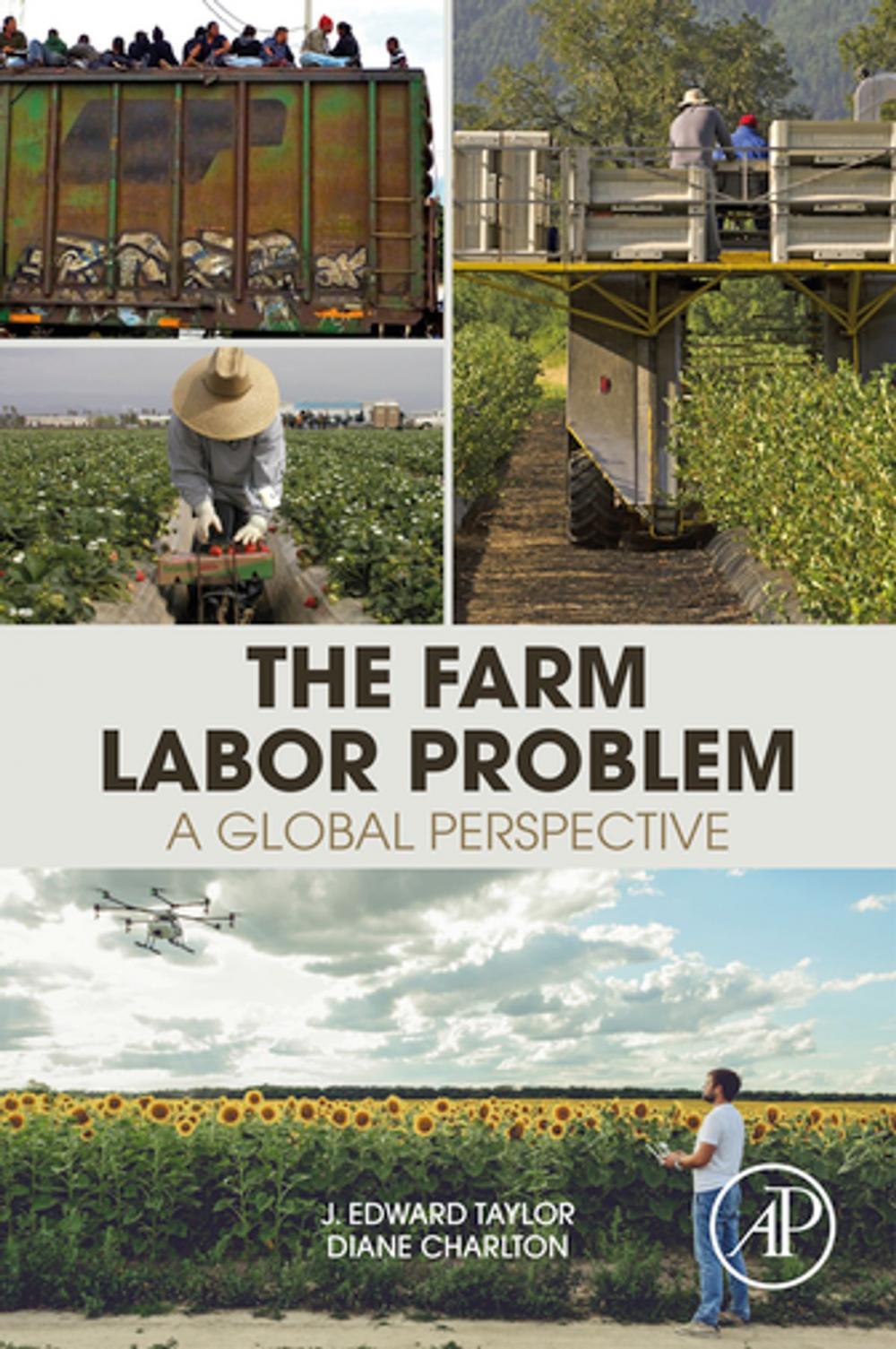 Big bigCover of The Farm Labor Problem