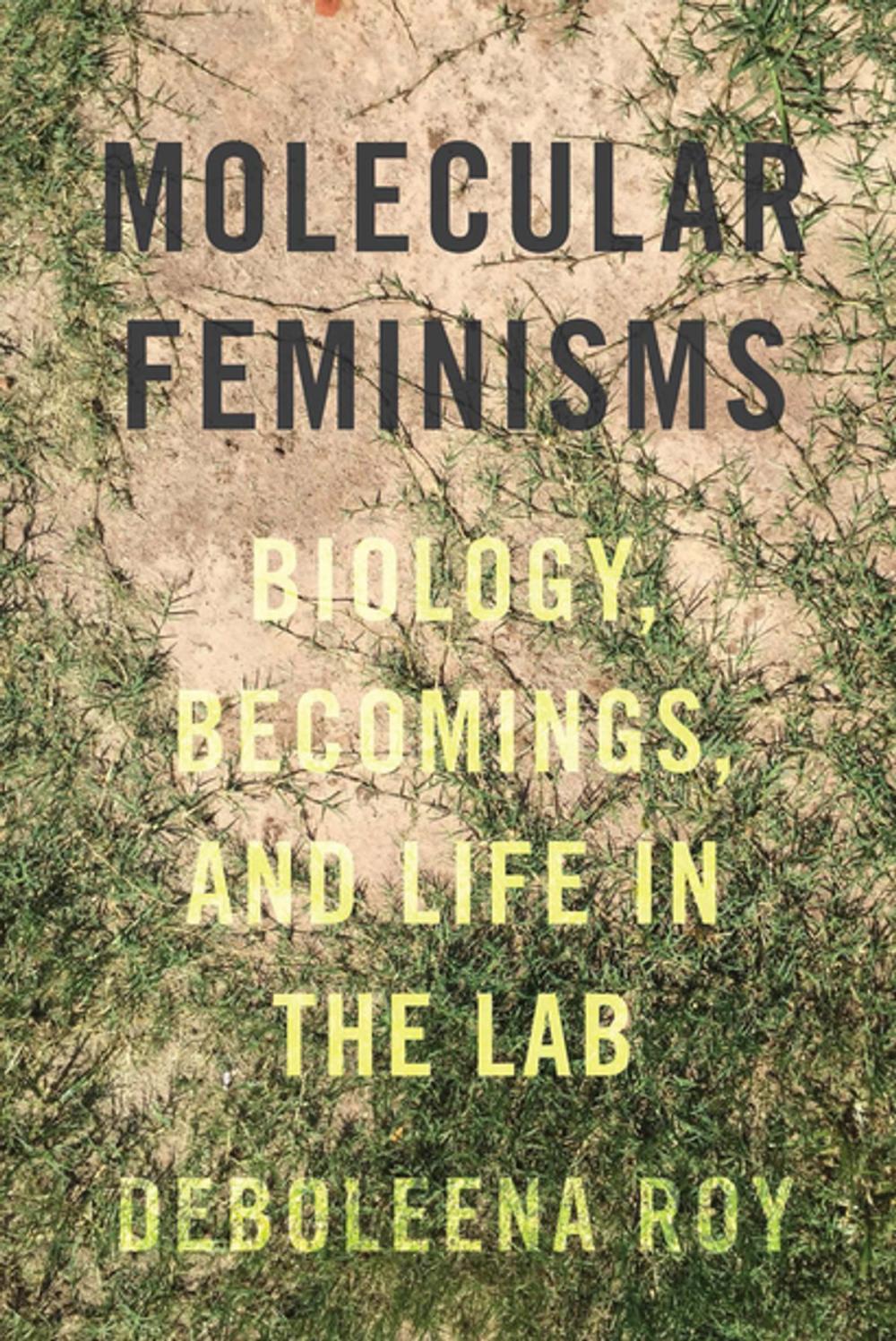 Big bigCover of Molecular Feminisms