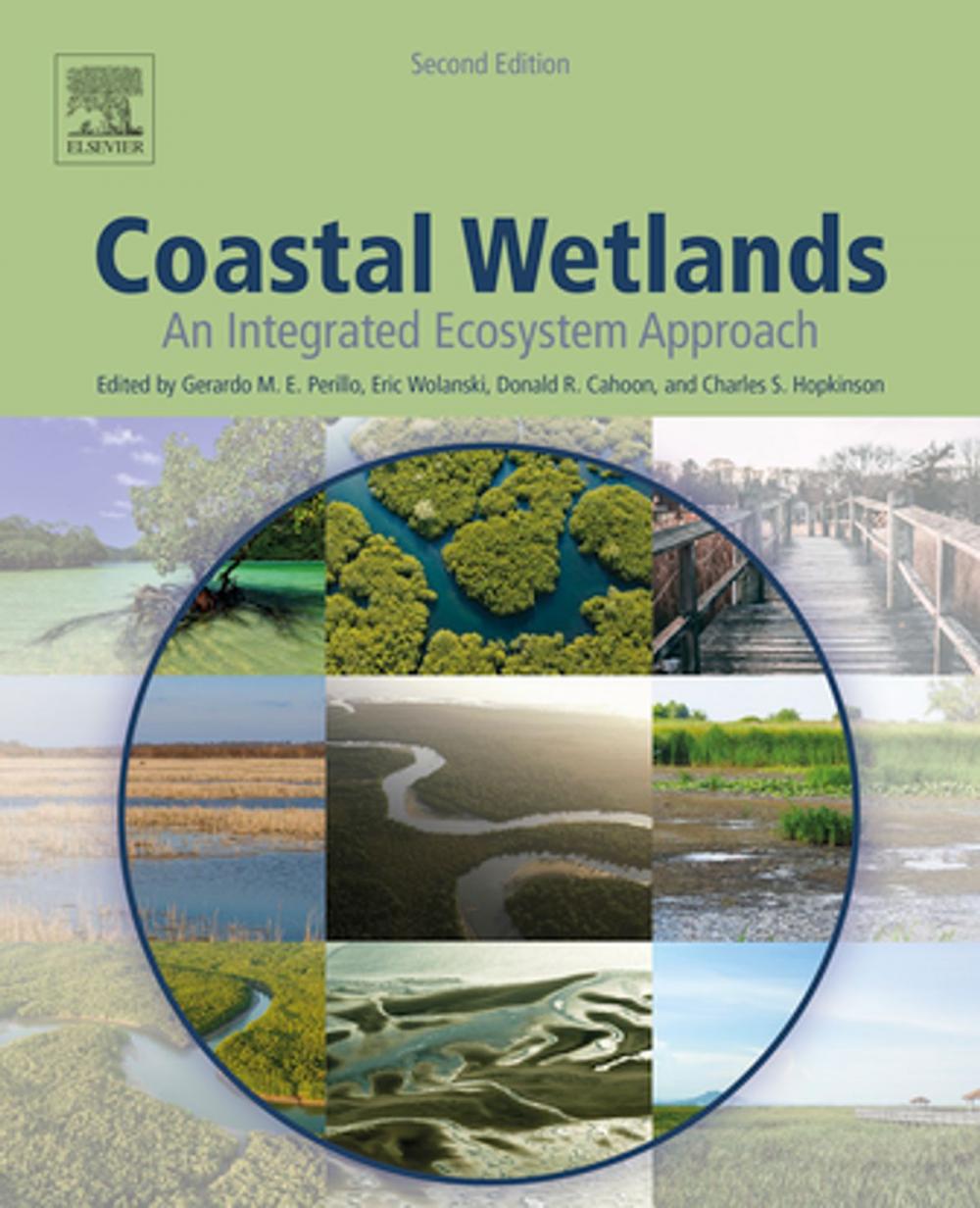 Big bigCover of Coastal Wetlands