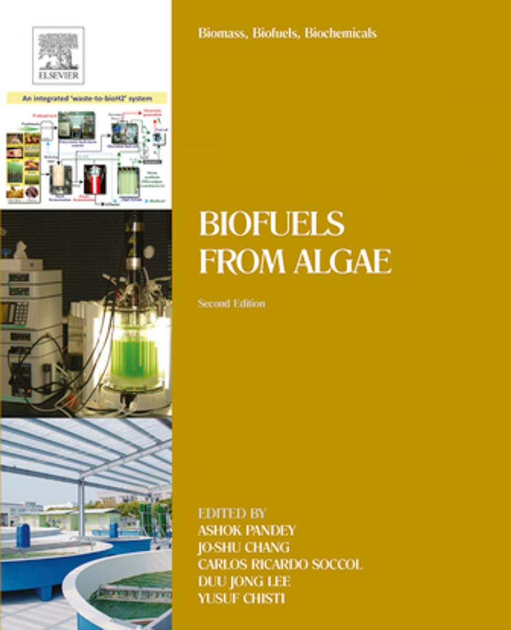 Big bigCover of Biomass, Biofuels, Biochemicals