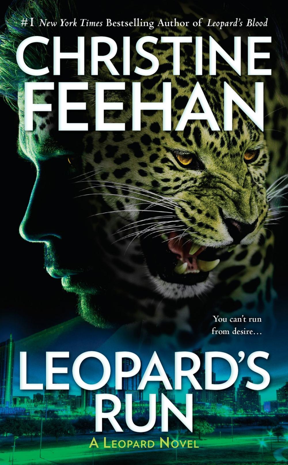 Big bigCover of Leopard's Run