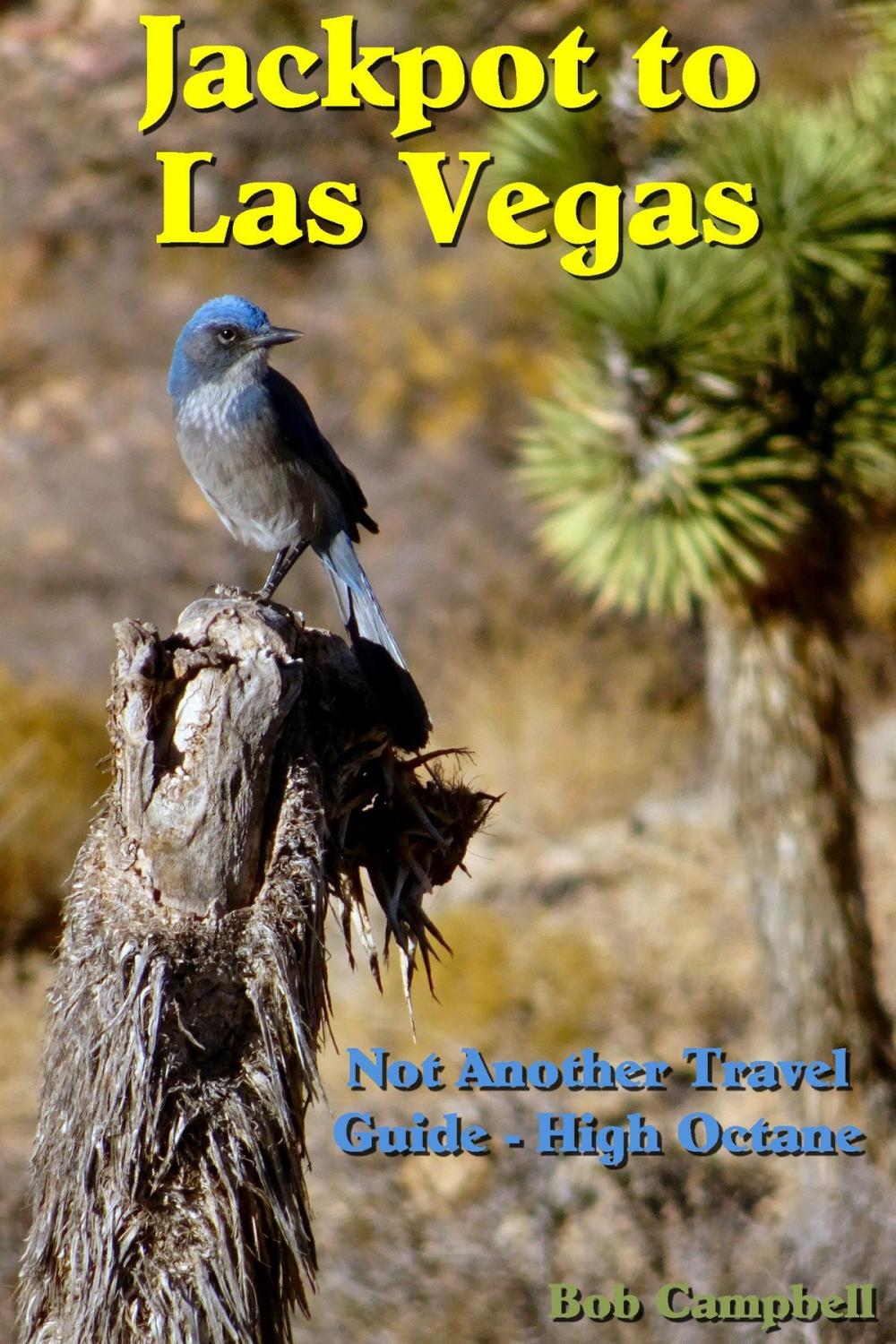 Big bigCover of Jackpot to Las Vegas: Not Another Travel Guide High Octane