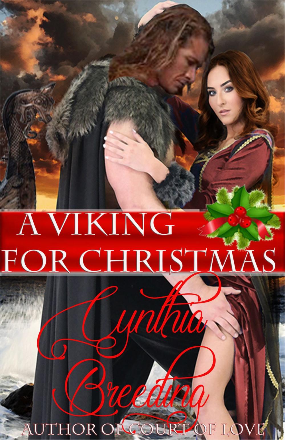 Big bigCover of A Viking for Christmas