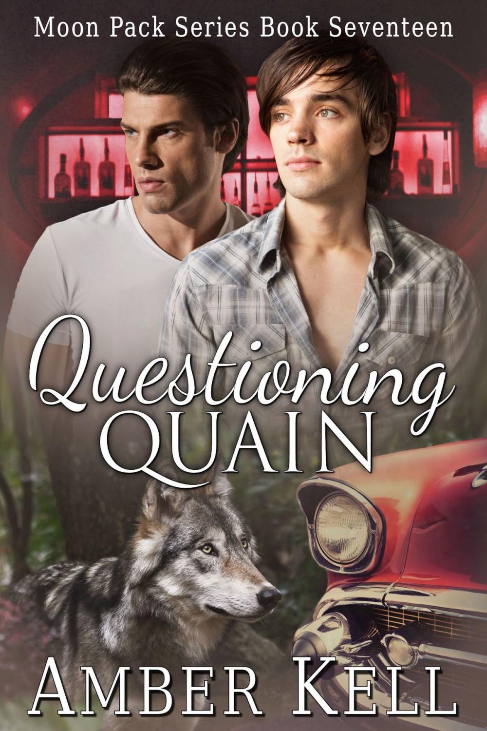 Big bigCover of Questioning Quain