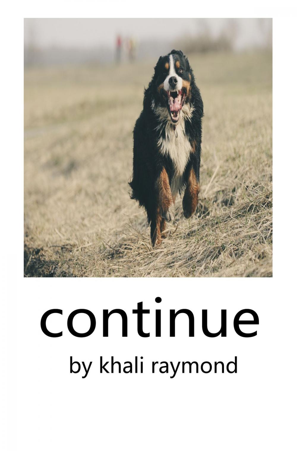 Big bigCover of Continue