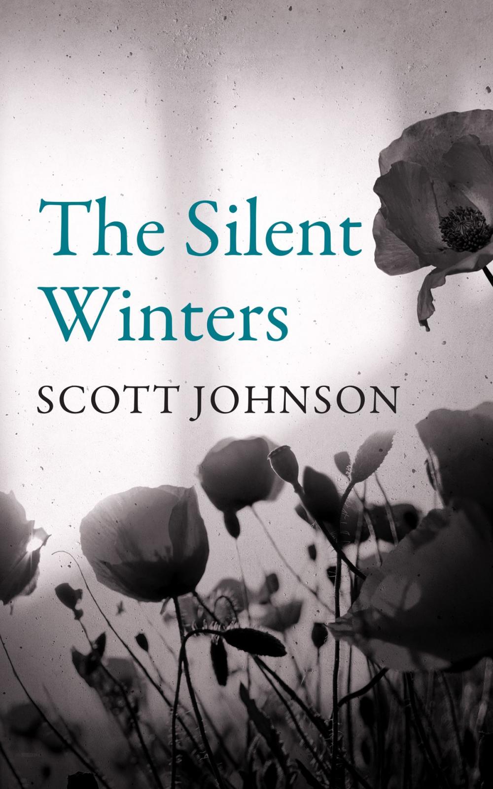 Big bigCover of The Silent Winters