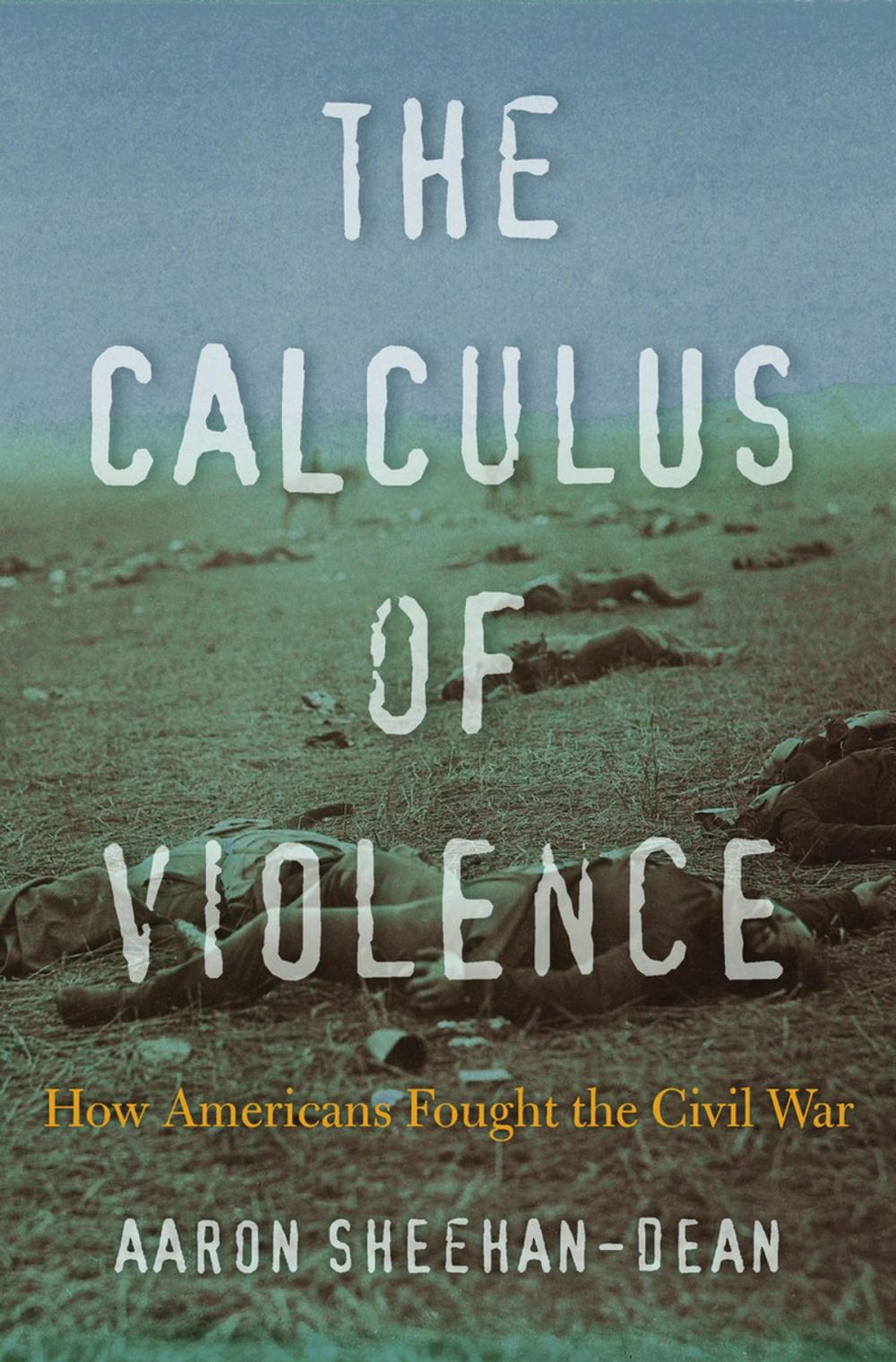 Big bigCover of The Calculus of Violence