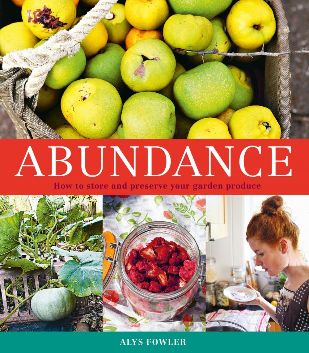 Big bigCover of Abundance: How to Store and Preserve Your Garden Produce