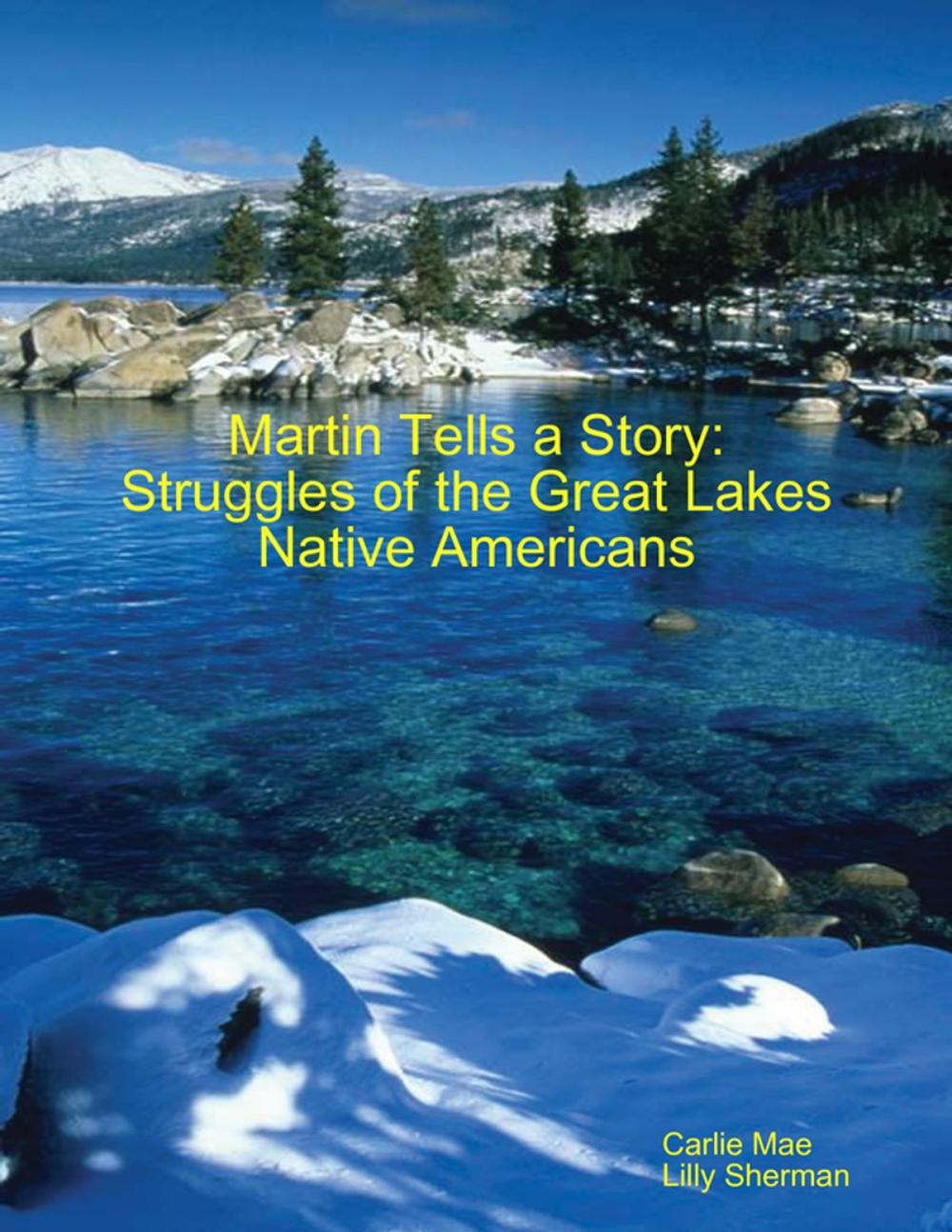 Big bigCover of Martin Tells a Story: Struggles of the Great Lakes Native Americans